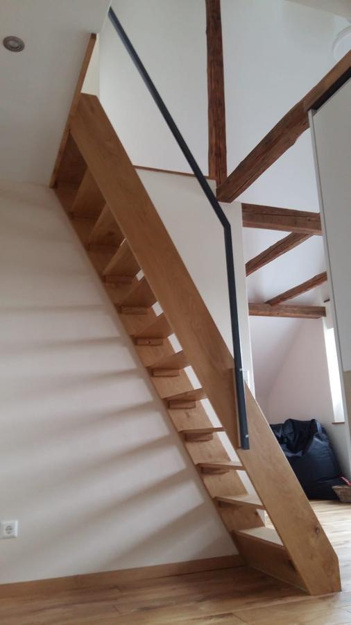 Casa Meloni Apartment Бад Захса Екстериор снимка